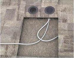 Content Dam Lw Online Articles 2014 12 Lwpowerflor120914 Content Dam Lw Online Articles 2014 12 Lwpowerflor120914