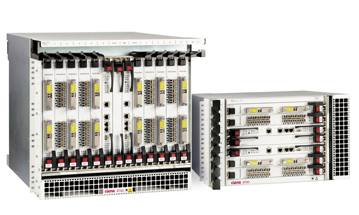 Ciena 8700 Packetwave Platform | Lightwave