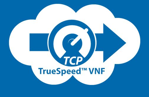 Content Dam Lw Site Images Truespeed Vnf