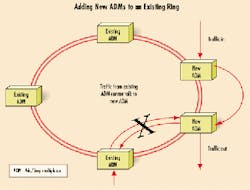 Th 0005lwspr02f2 Th 0005lwspr02f2