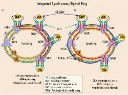 Th 0005lwspr06f4 Th 0005lwspr06f4