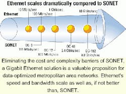 Th 0101lwspr08f1 Th 0101lwspr08f1