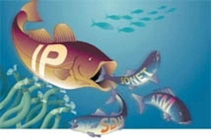 Th 0501lwsrfish