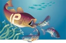 Th 0501lwsrfish Th 0501lwsrfish