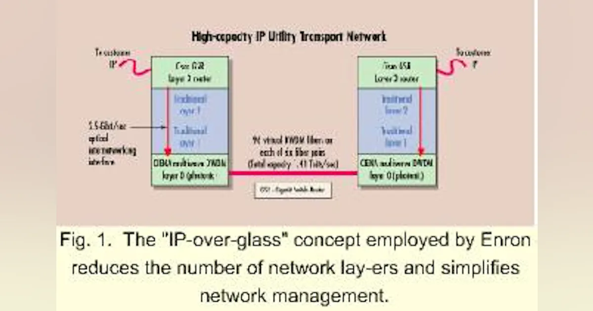 This intelligent network really is the computer | Lightwave