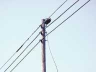 Th Flexnap System Th Flexnap System