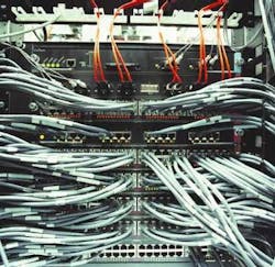 Th Fseaugintelpic1 Th Fseaugintelpic1