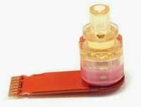 Th Hamamatsu Rosa Th Hamamatsu Rosa