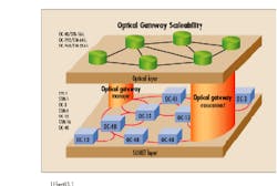 Th Lw35331 22 Th Lw35331 22
