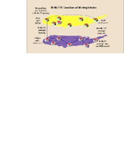 Th Lw35590 36 Th Lw35590 36