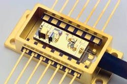 Th Om3 Bf Closeup Th Om3 Bf Closeup