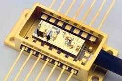 Th Om3 Bf Closeup Th Om3 Bf Closeup