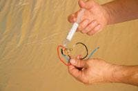 Th Suringe Th Suringe