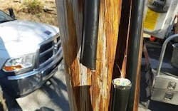 Content Dam Lw Online Articles 2016 04 Lwsabotage042816 Content Dam Lw Online Articles 2016 04 Lwsabotage042816