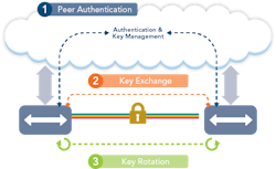Lwinfinerafig4031817 Lwinfinerafig4031817