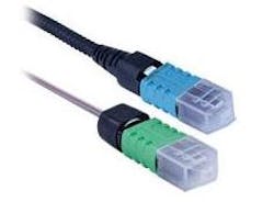 Content Dam Etc Medialib New Lib Lw Online Articles 2011 09 Lw Afl91311 Content Dam Etc Medialib New Lib Lw Online Articles 2011 09 Lw Afl91311