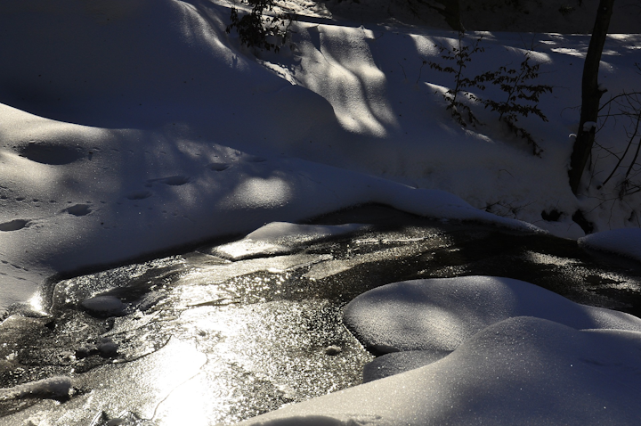 Winter 2066584 1920