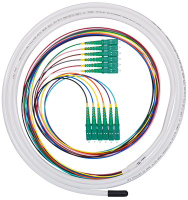 Multifiber/Ribon Connectivity