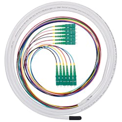 Multifiber/Ribon Connectivity