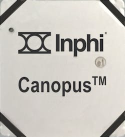 2019 10 Canopus Chip Plain