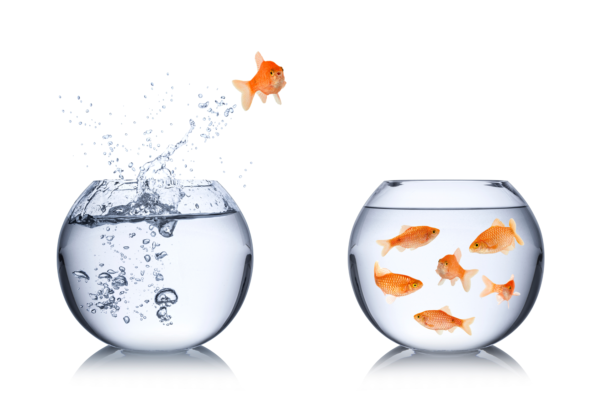 I Stock 000035535916 Large 5f5fbee98df0d