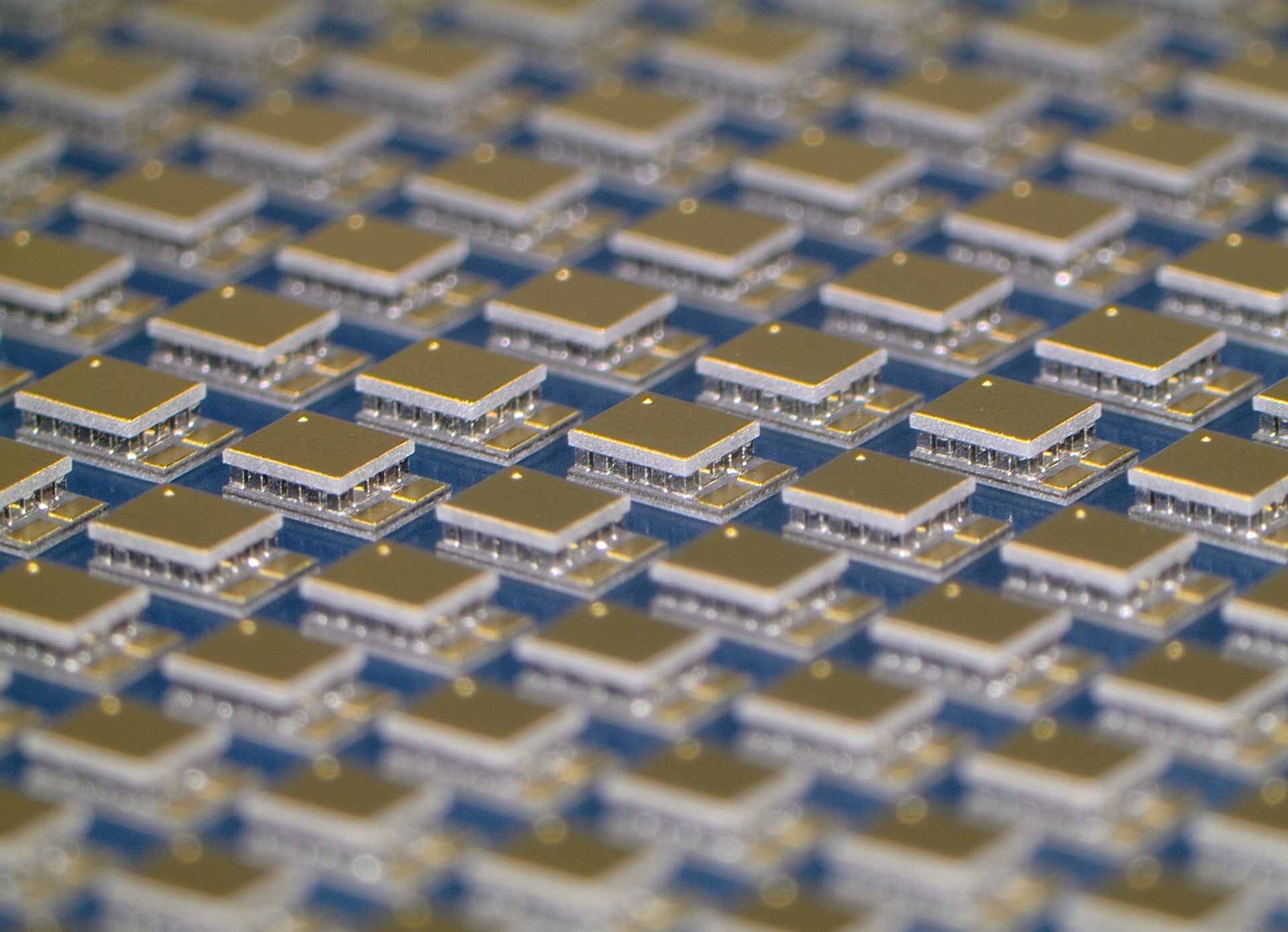 Te Ms And Te Ms And Te Ms 5fcd403129df4