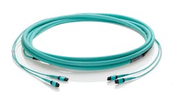 L Wleviton042021 607edf1f7907f L Wleviton042021 607edf1f7907f