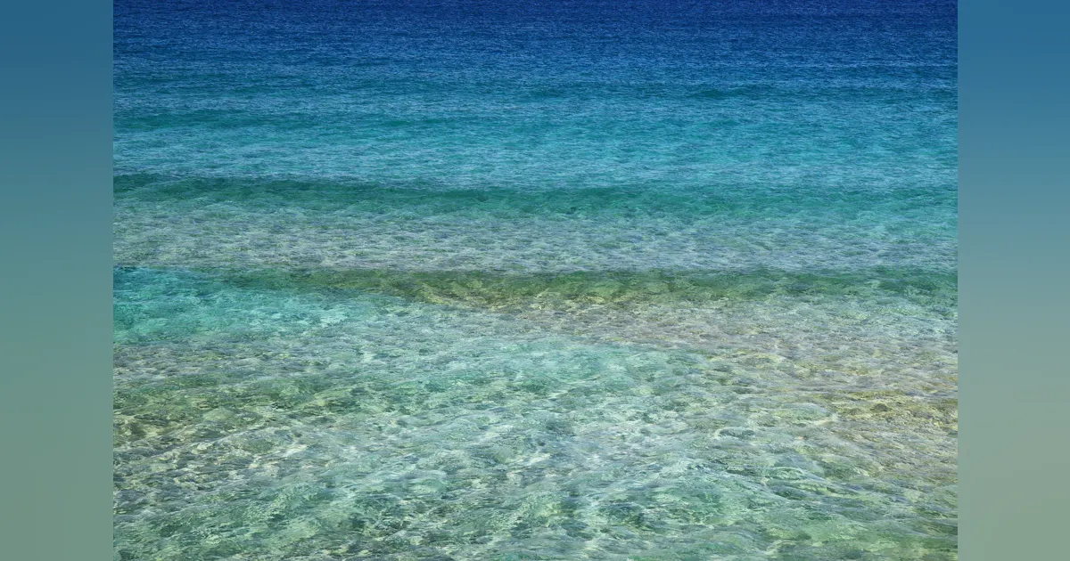 Google plans Blue, Raman submarine cable systems | Lightwave Online