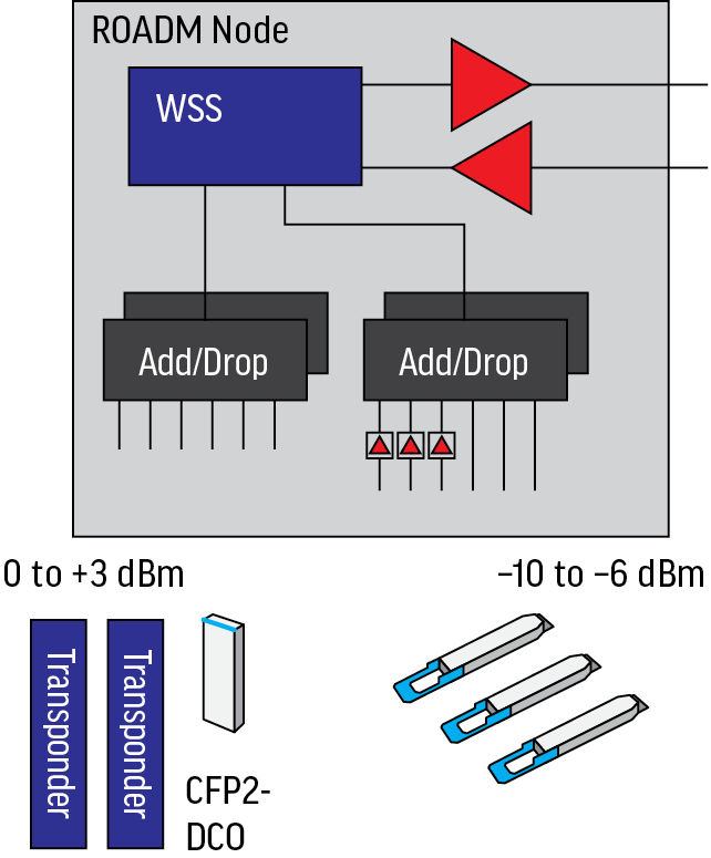 Draw a Crowd プロモ RF 2枚 FaB 0420 Draw a Crowd プロモ RF 2枚 FaB 0420 Hero frog vs Plasma