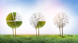Dreamstime M 167615521