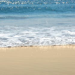 Dreamstime S 1647956 Dreamstime S 1647956