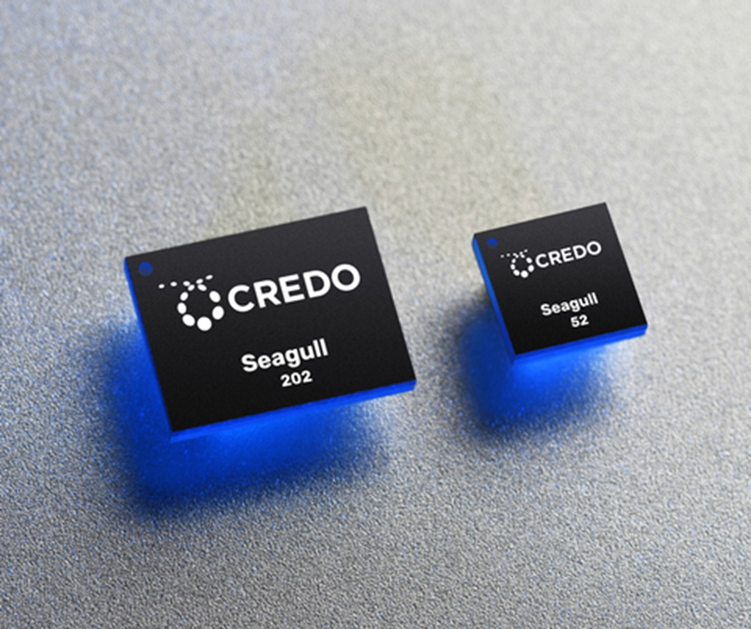 The Seagull 202 and 52 DSPs offer high performance and low power with integrated DML drivers, says Credo.