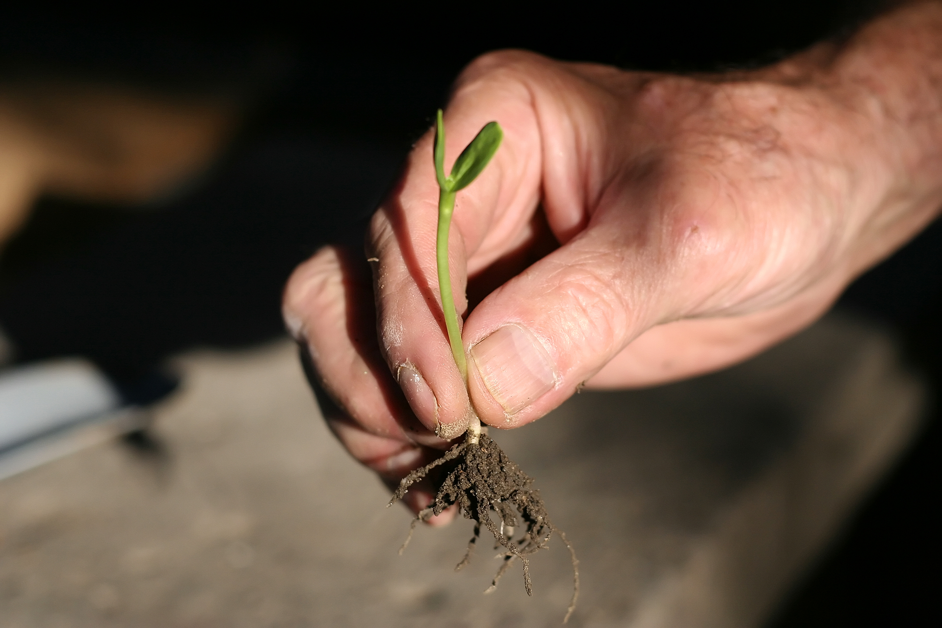 Dreamstime M 2828045 644162681353e