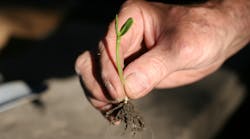 Dreamstime M 2828045 Dreamstime M 2828045