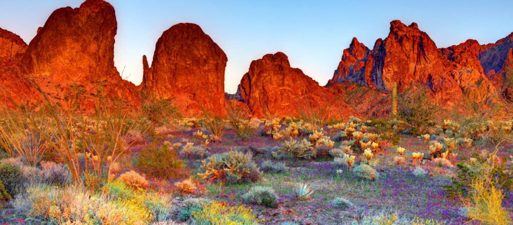 UPN gives Yuma, AZ businesses and carriers a new fiber networking option.