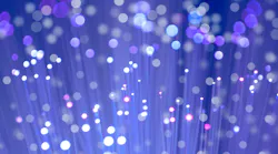 STL names new commercial, R&D heads for its optical connectivity business.