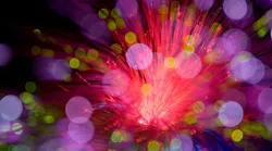 The new Lightwave Winter issue will look at what's coming next in the optical industry in 2024.