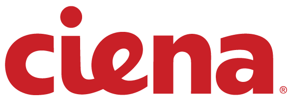 Ciena&rsquo;s fiscal Q1 results take a hit from service provider inventory challenges.