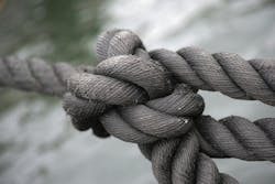 US Conec fires new salvo against SENKO in fiber connector patent fight. US Conec fires new salvo against SENKO in fiber connector patent fight.