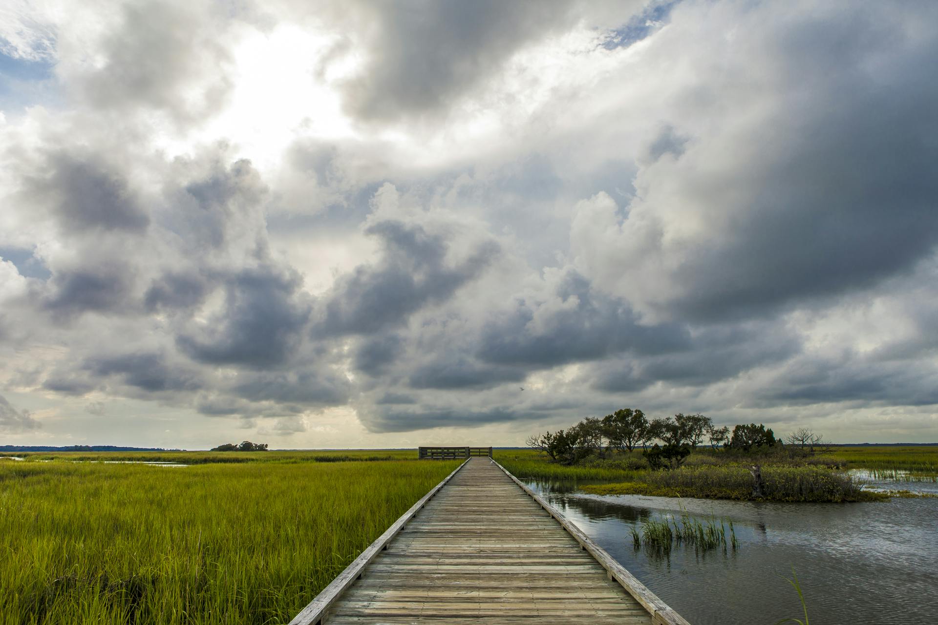 Scenic view of the South Carolina Lowcountry region.