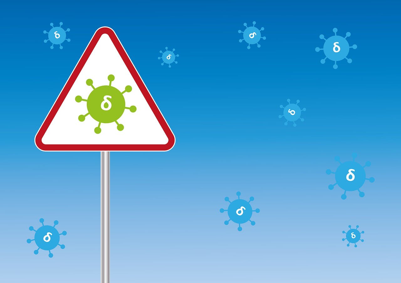 66301bd14f08ef000841d796 Virus Alexandra Koch