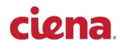 Ciena buying OSS outfit Ciena buying OSS outfit