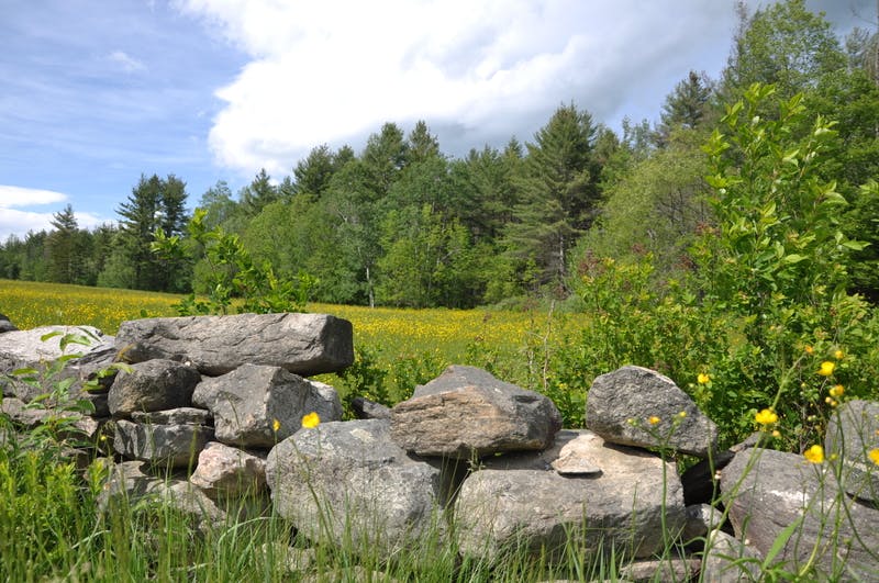 Meadow in southern Vermont.