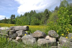Meadow in southern Vermont. Meadow in southern Vermont.