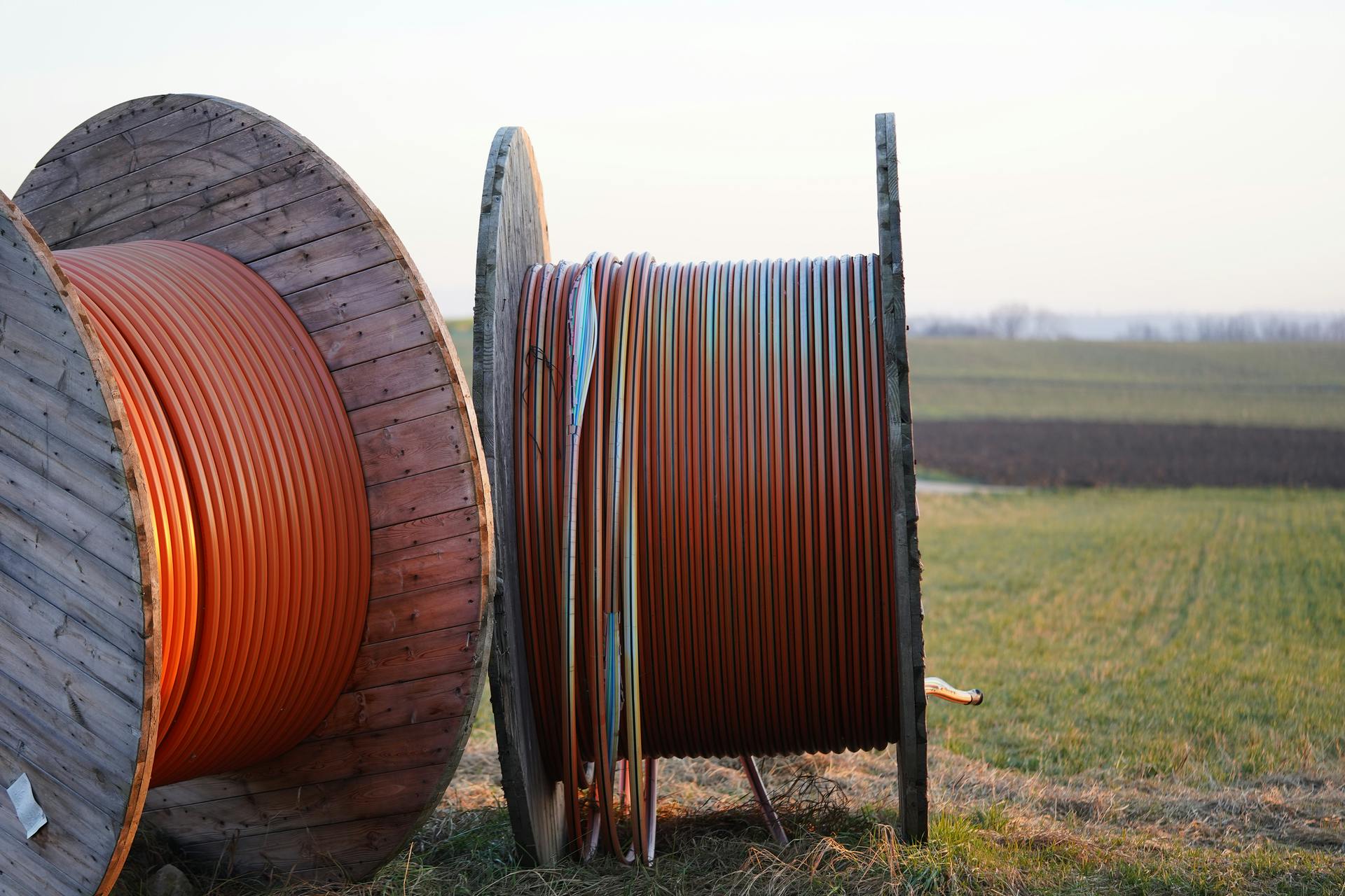 663025a1d60211000824ce65 Dreamstime M 239092537