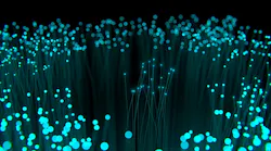 Fibre J Kimsey