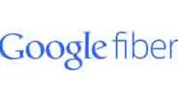 Google Access hires TWC vet as CEO
