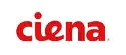 Ciena takes on fiber densification