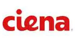 Ciena takes on fiber densification