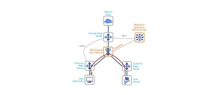 ADVA/Metaswitch router offload